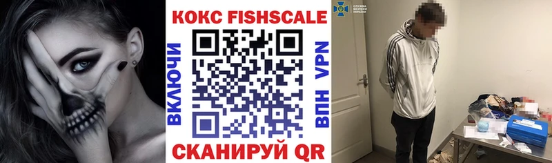 Купить закладки  Ялуторовск  Cocaine FishScale 