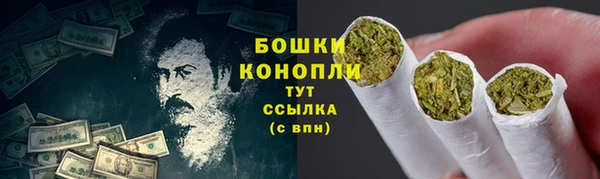 2c-b Дмитриев