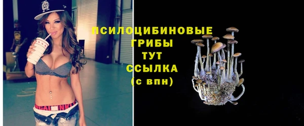 2c-b Елизово