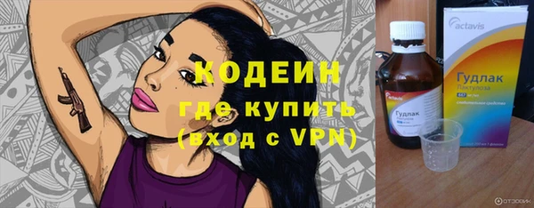 мдпв Дмитровск