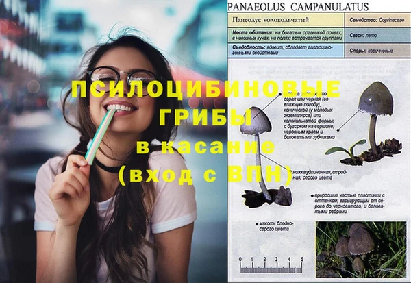 2c-b Дмитриев