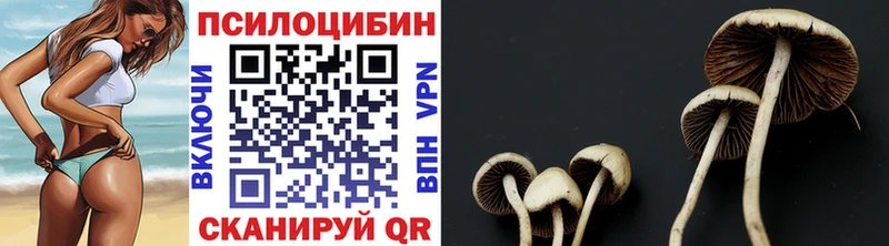 Купить где  Ялуторовск  Галлюциногенные грибы мицелий 